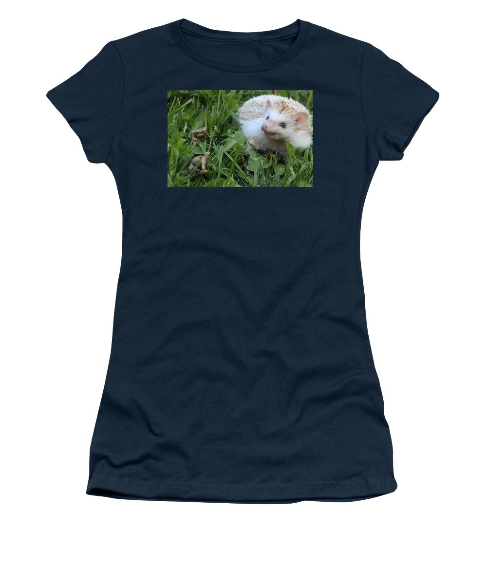 Animal Women's T-Shirt featuring the photograph Hedgehog 1 by Army Men Around the House