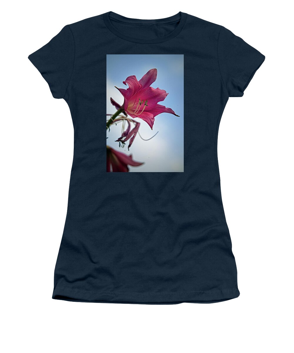 Lily Women's T-Shirt featuring the photograph Heirloom by M Kathleen Warren