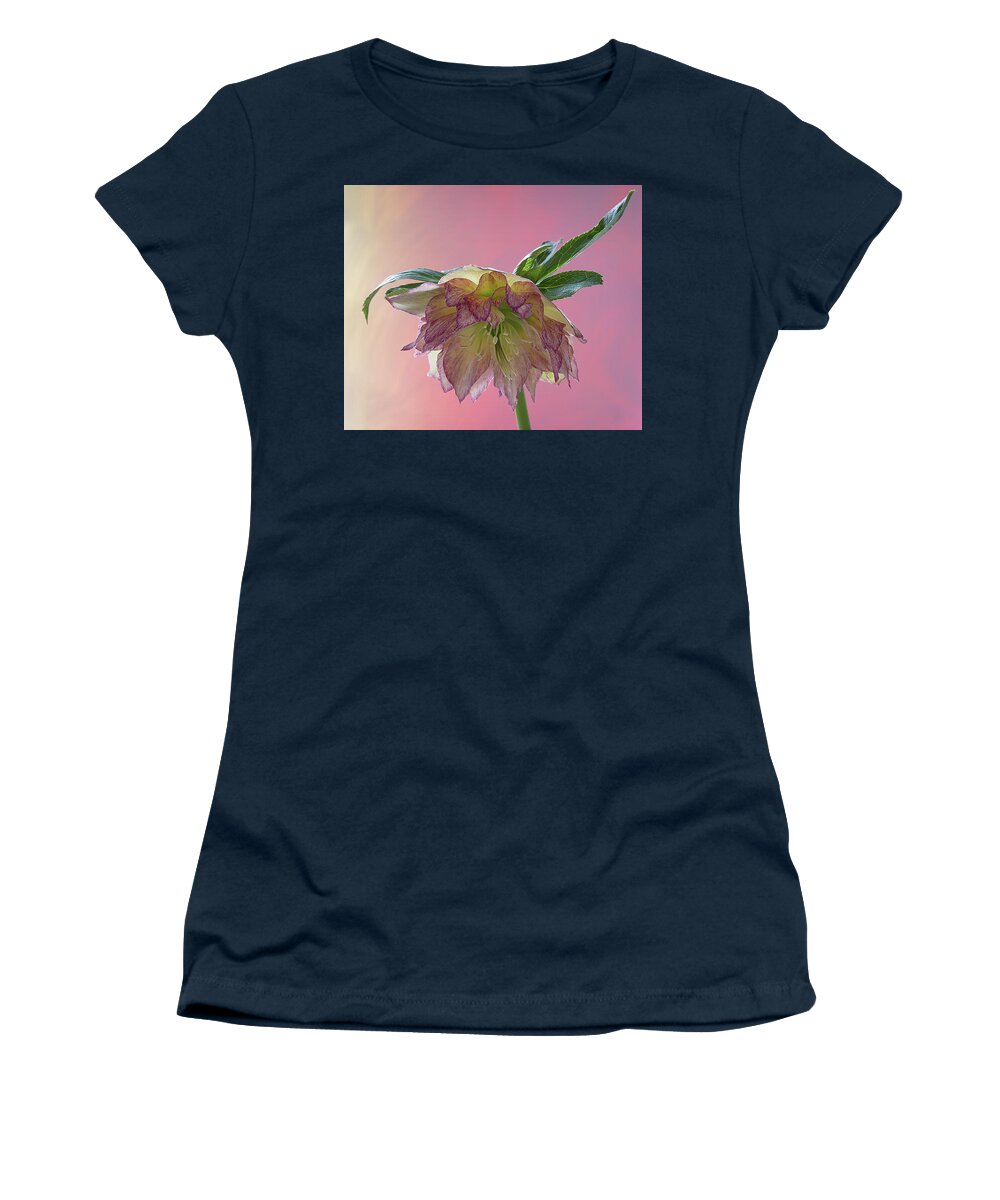 Floral Women's T-Shirt featuring the photograph Hellebores 2 by Shirley Mitchell