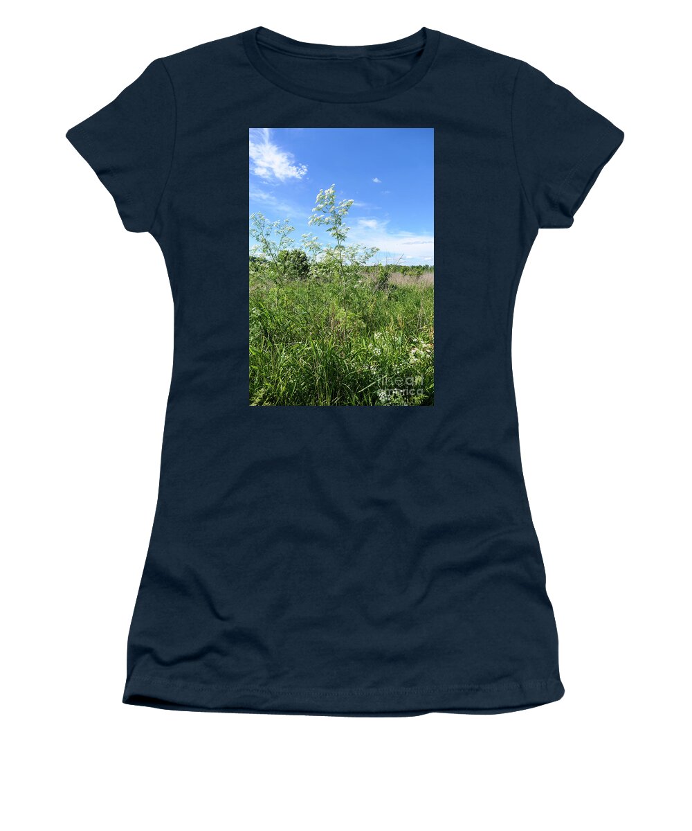 Hemlock Women's T-Shirt featuring the photograph Hemlock flowering against the sky by Bentley Davis