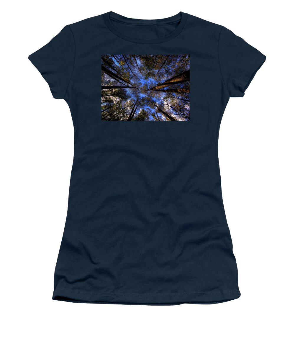 Highlands Hammock State Park Women's T-Shirt featuring the photograph Highlands Hammock Forest by Robert Stanhope