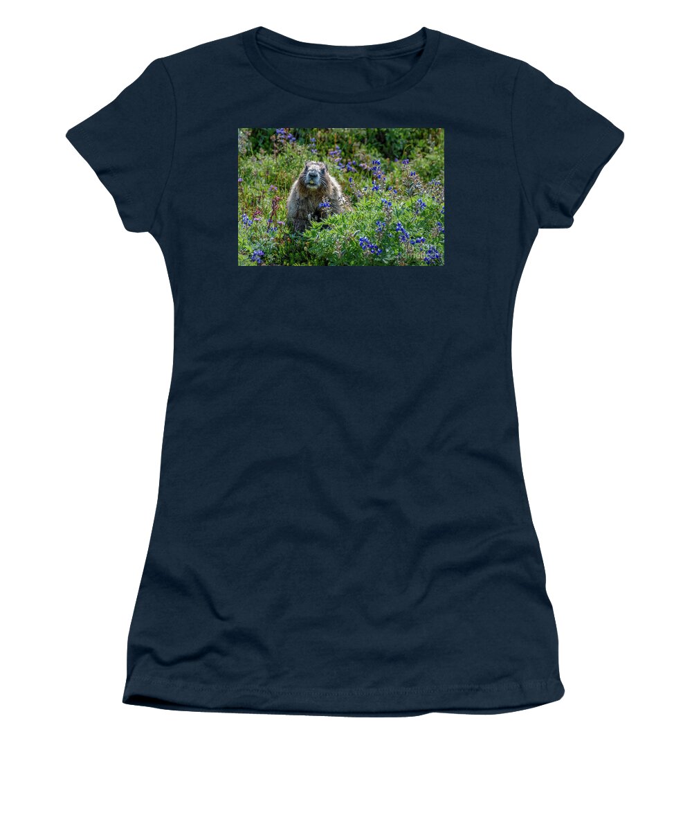 Hoary Marmot Women's T-Shirt featuring the photograph Hoary Marmot in Subalpine Lupine #1 by Nancy Gleason