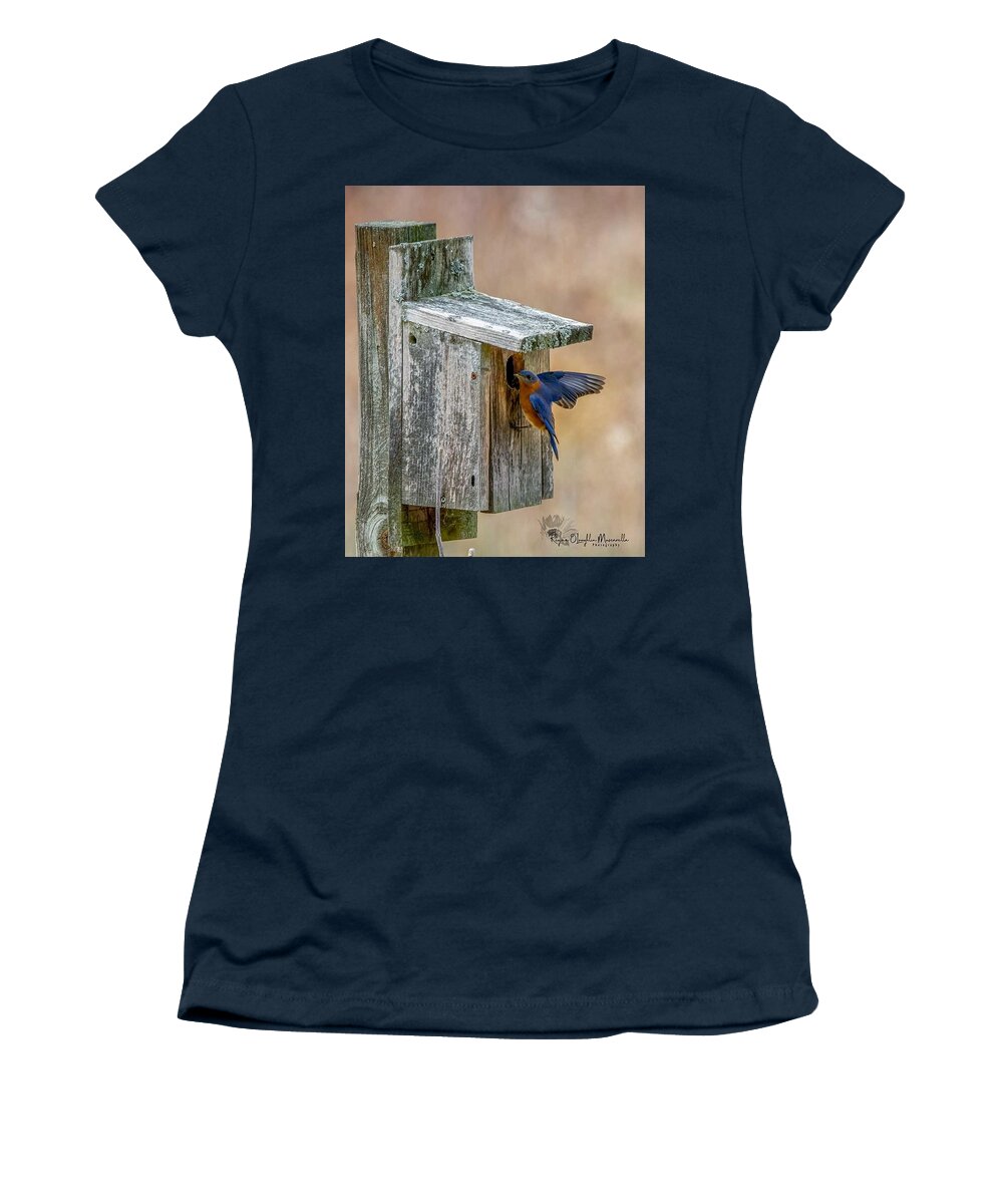 Bluebird Women's T-Shirt featuring the photograph Honey I'm Home by Regina Muscarella