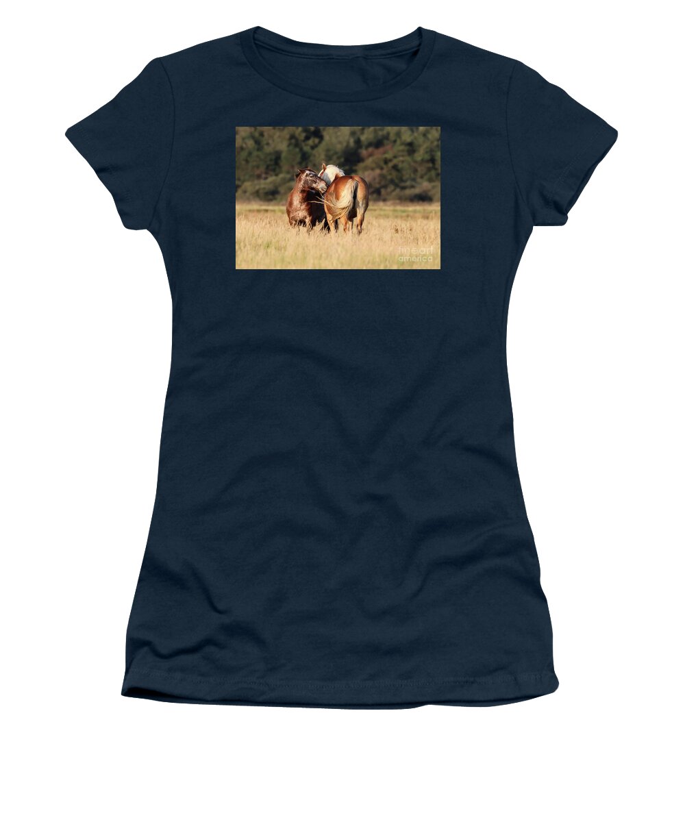 Horses Women's T-Shirt featuring the photograph Horses at Sunset by Eva Lechner