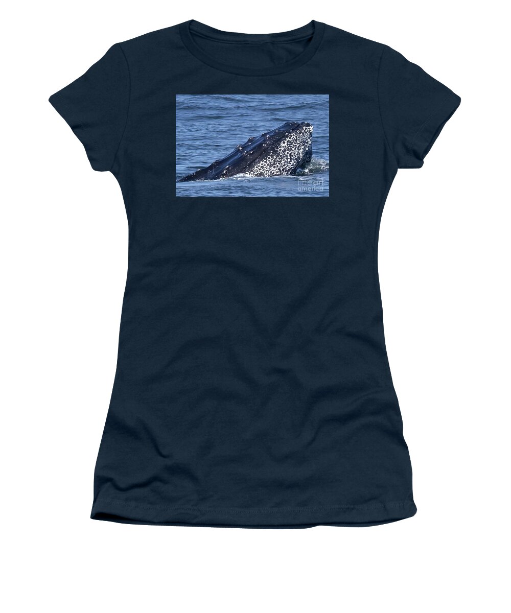  Women's T-Shirt featuring the photograph Humpback Whale Chin Slap by Loriannah Hespe