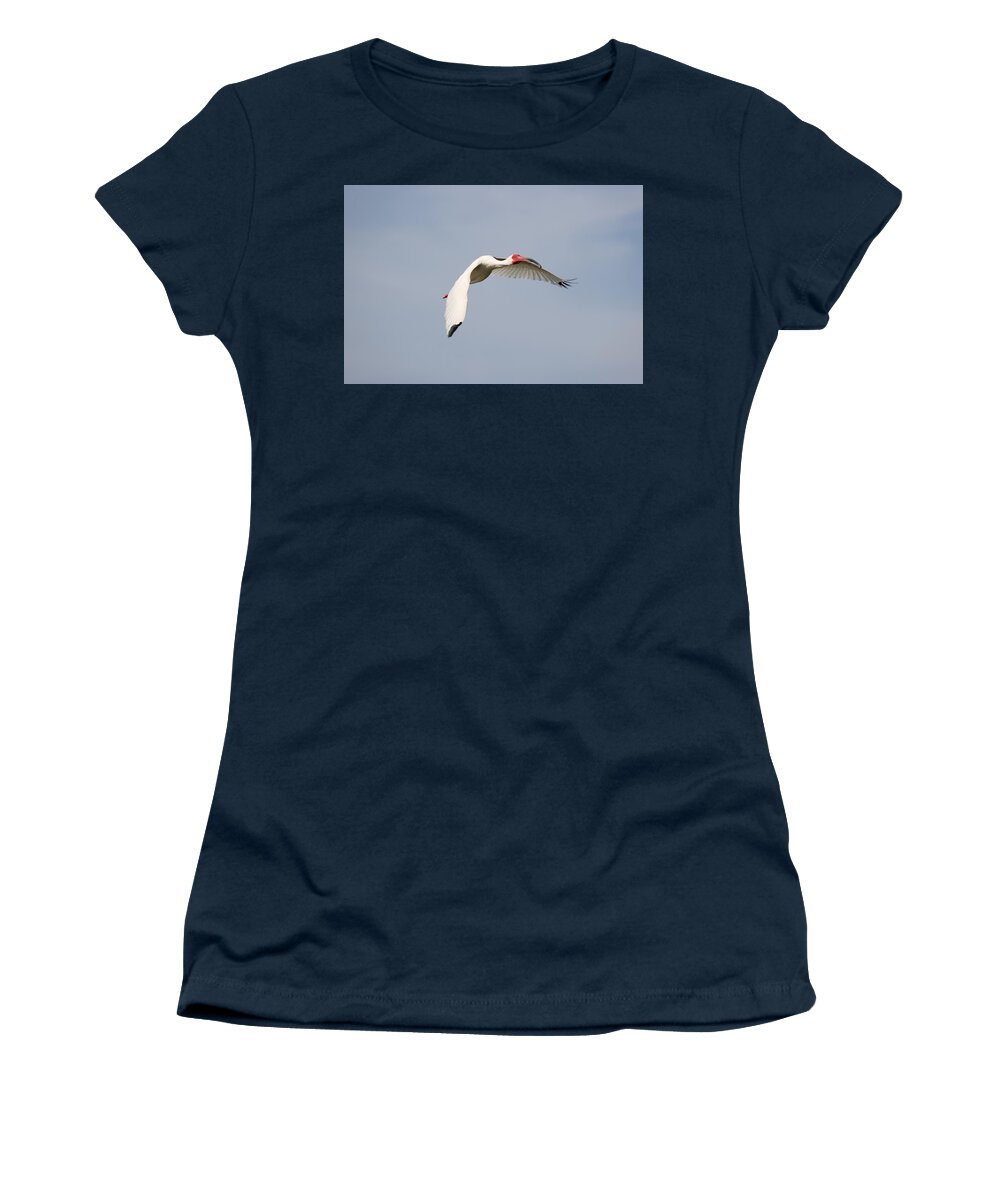 White Ibis Women's T-Shirt featuring the photograph Ibis in Flight by Mingming Jiang