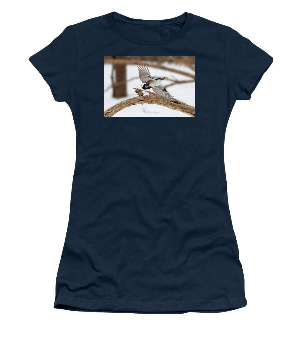 Bird Women's T-Shirt featuring the photograph In Flight by Regina Muscarella