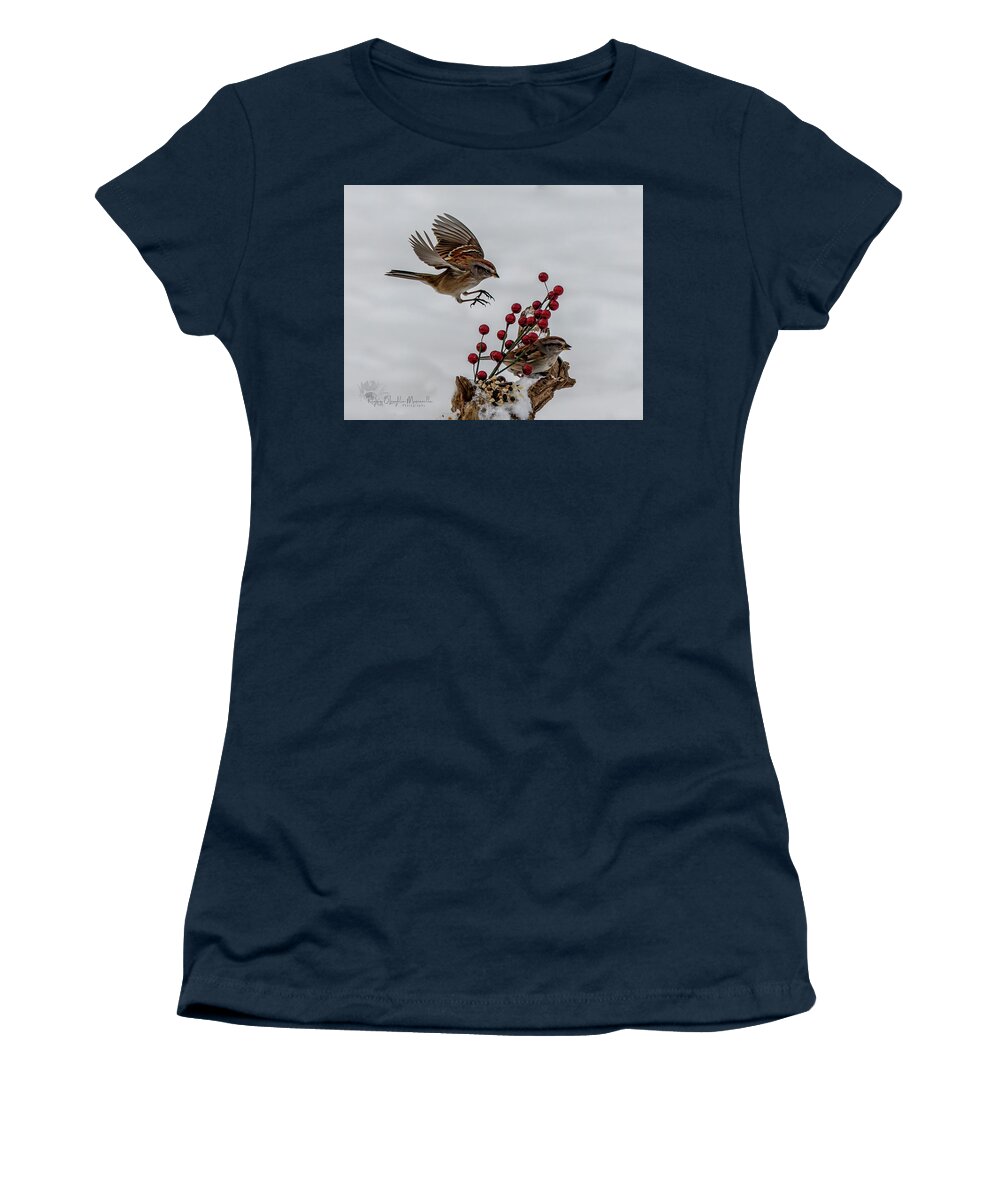 Sparrow Women's T-Shirt featuring the photograph In for a Landing by Regina Muscarella
