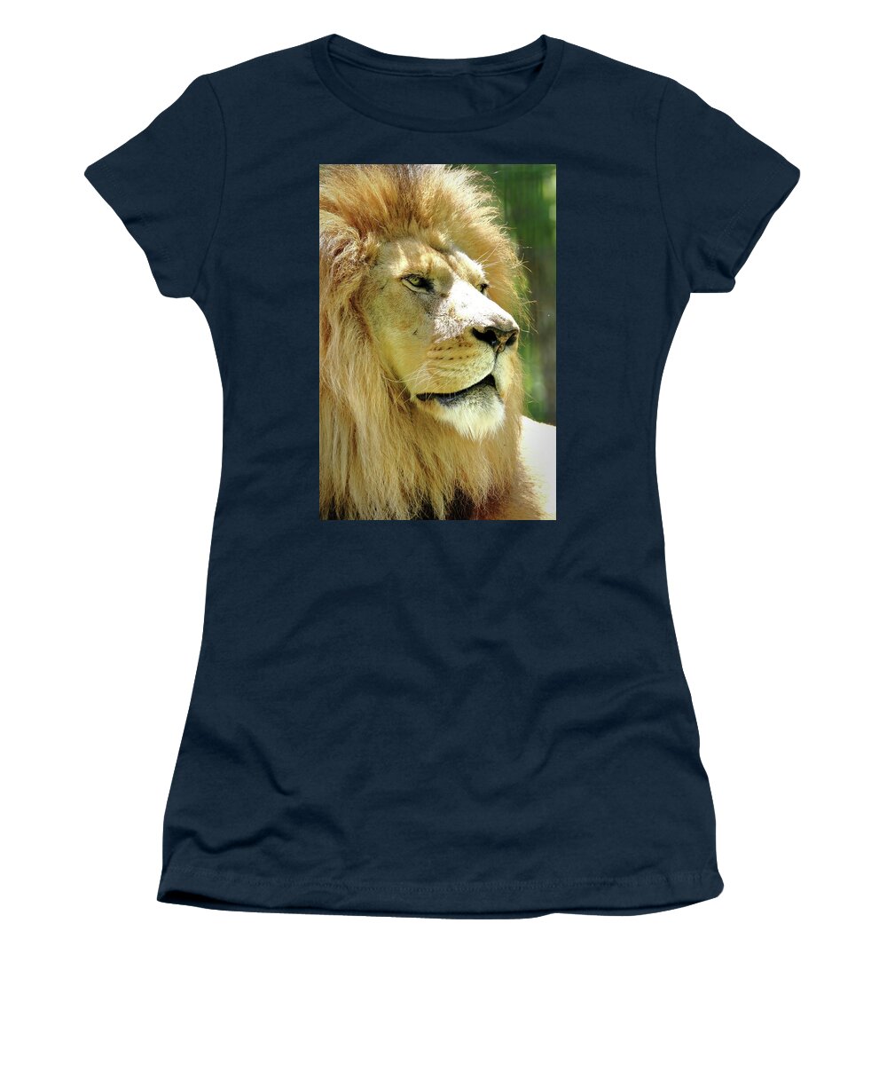 Lion Women's T-Shirt featuring the photograph Is This My Good Side by Lens Art Photography By Larry Trager