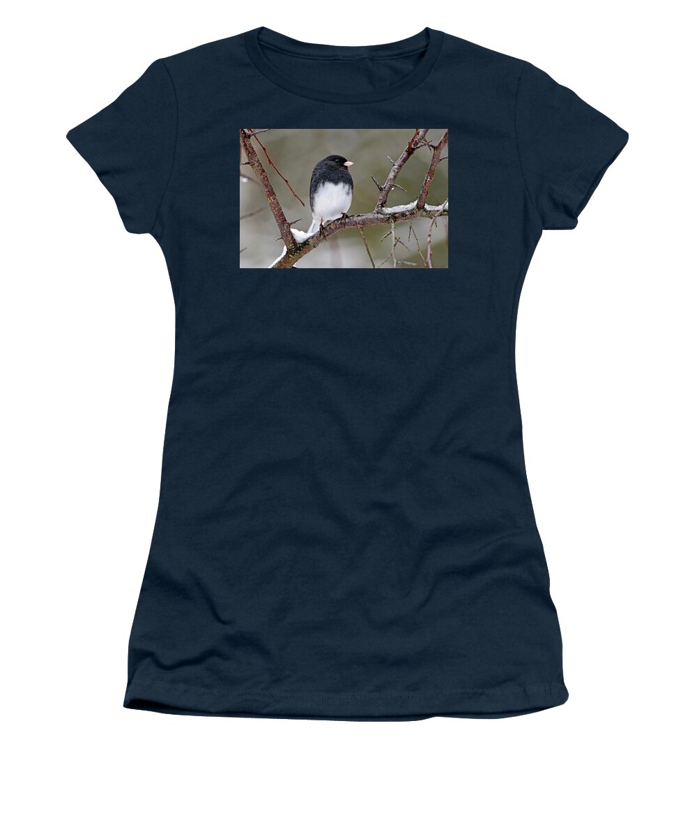 Junco Women's T-Shirt featuring the photograph Junco On Snowy Branch by Debbie Oppermann
