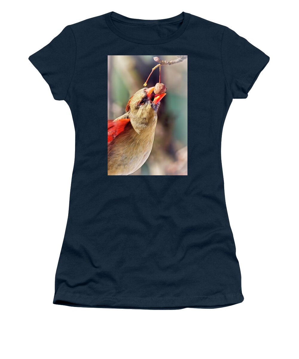 Animal Women's T-Shirt featuring the photograph Just A Little Bite by Marcia Colelli