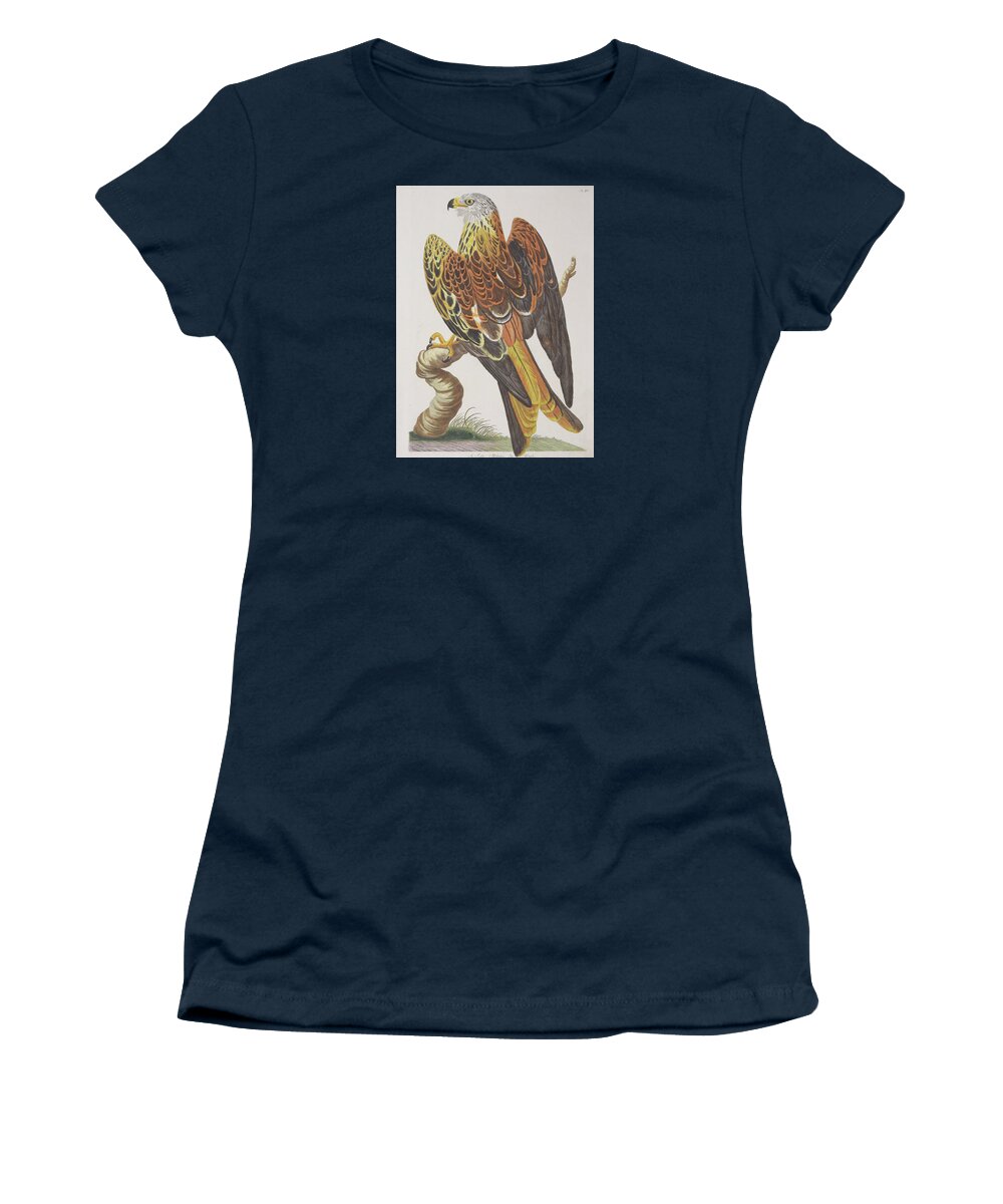 Kite Women's T-Shirt featuring the digital art Kite c.1771 British Zoology by Kim Kent