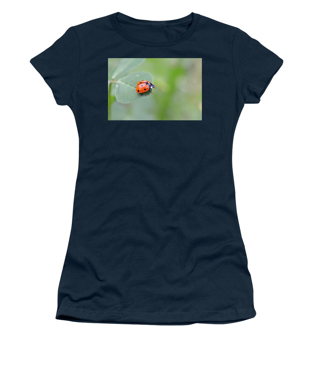 Lady Bug Women's T-Shirt featuring the photograph Lady Bug 2 by Amy Fose