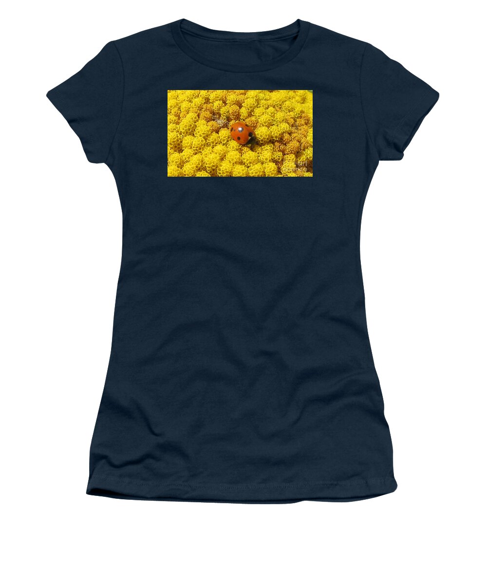Ladybird Women's T-Shirt featuring the photograph Ladybird On Achillea by Lesley Evered