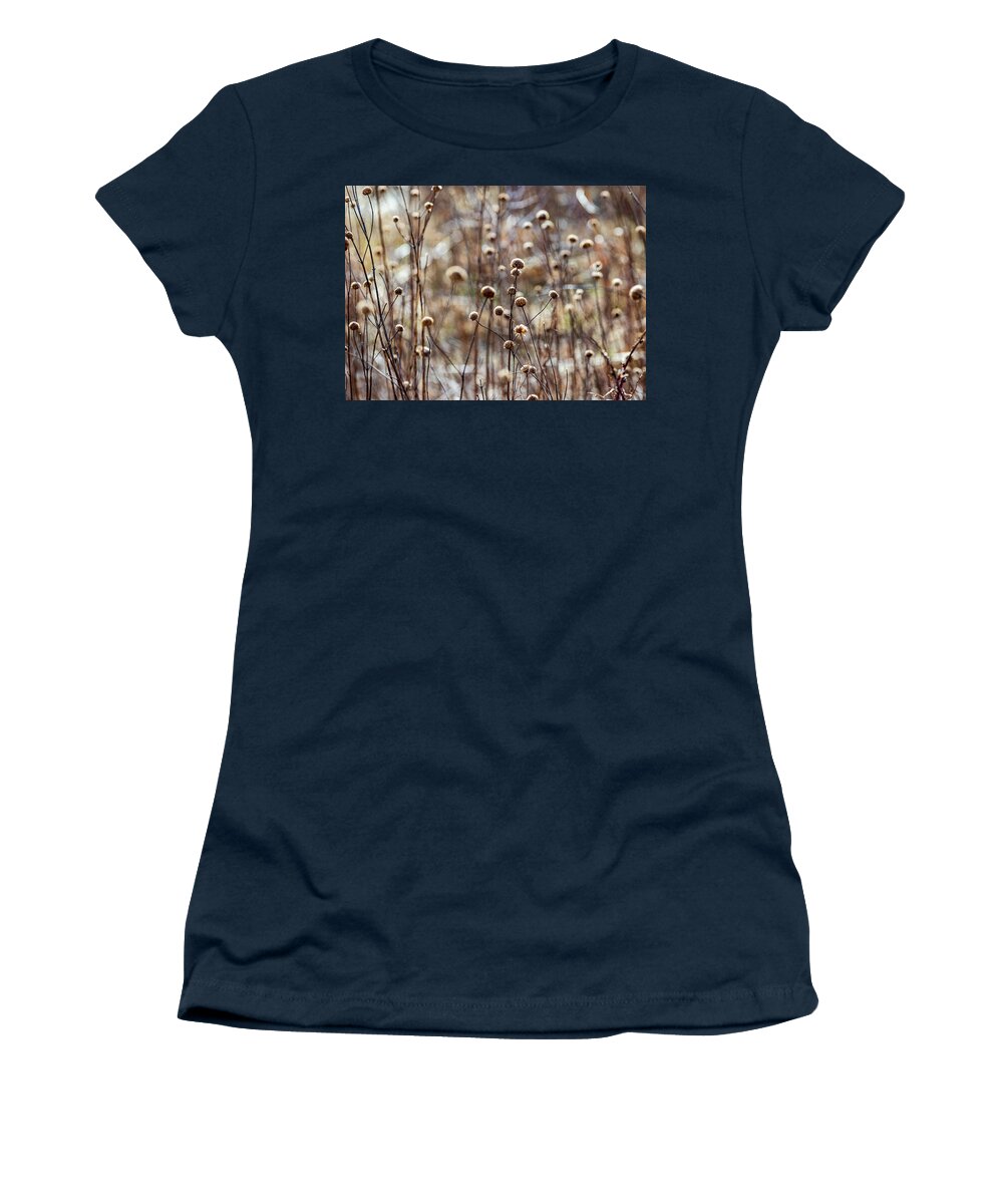 Winter Women's T-Shirt featuring the photograph Late Winter Field by Amelia Pearn