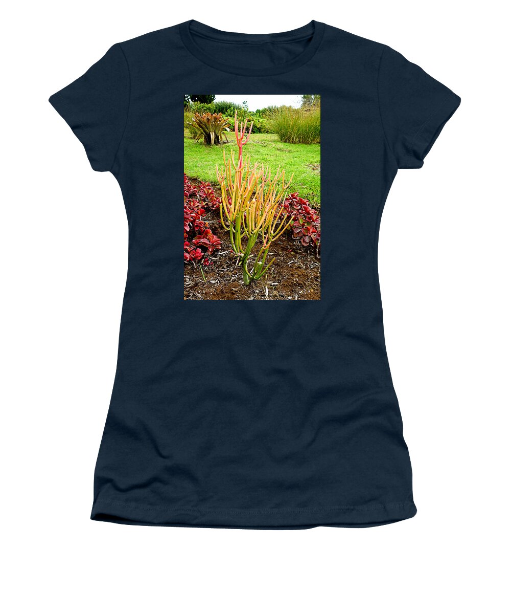 Lavender Women's T-Shirt featuring the photograph Lavender Farms Study 41 by Robert Meyers-Lussier