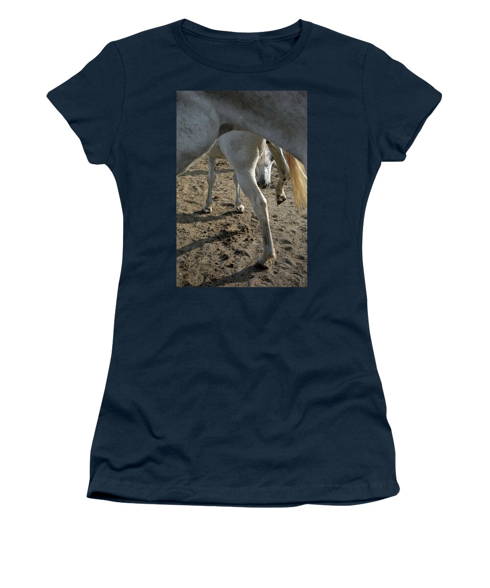 Horses Women's T-Shirt featuring the photograph Layers of Mares by M Kathleen Warren