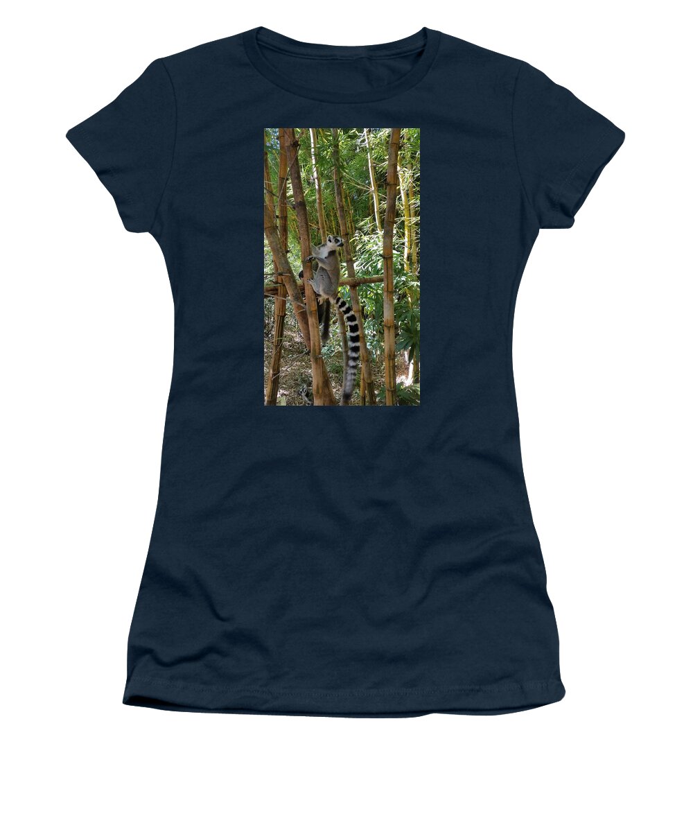 All Women's T-Shirt featuring the digital art Lemur in Madagascar 2 KN34 by Art Inspirity