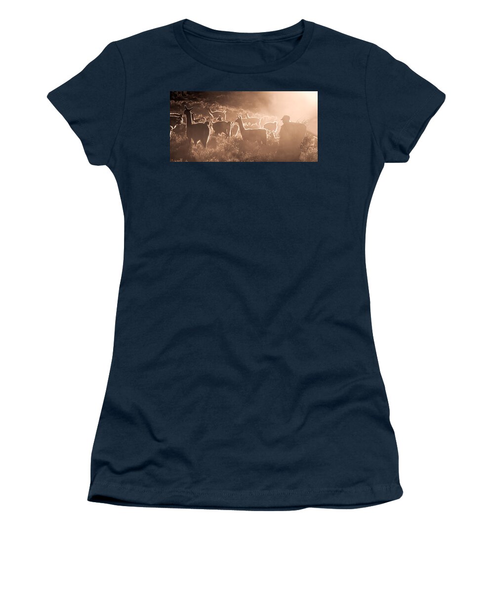 Llama Women's T-Shirt featuring the photograph Llamas and Shepherd by Peter Boehringer