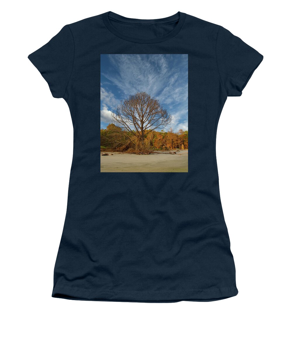 Charleston Women's T-Shirt featuring the photograph Lone Bare Tree on Edge of Beach by Darryl Brooks