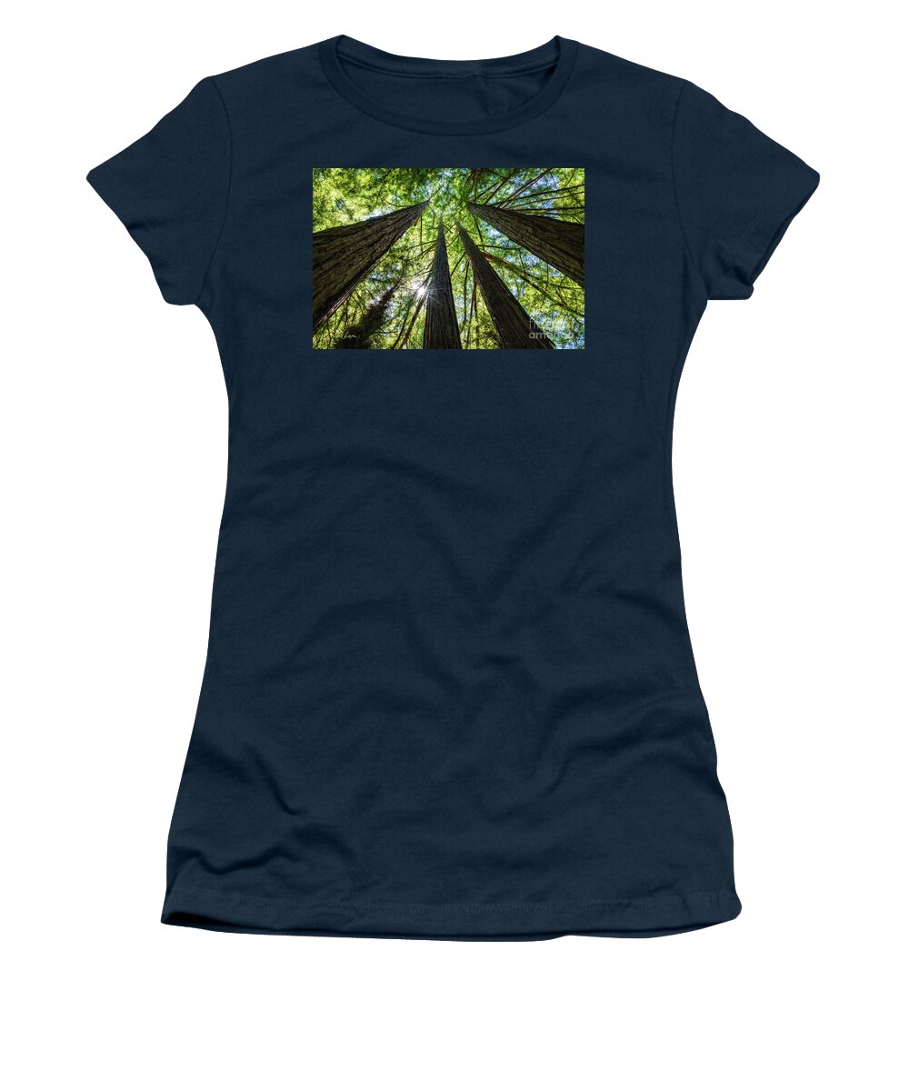 250 Feet Tall Women's T-Shirt featuring the photograph Looking Straight Up by David Levin