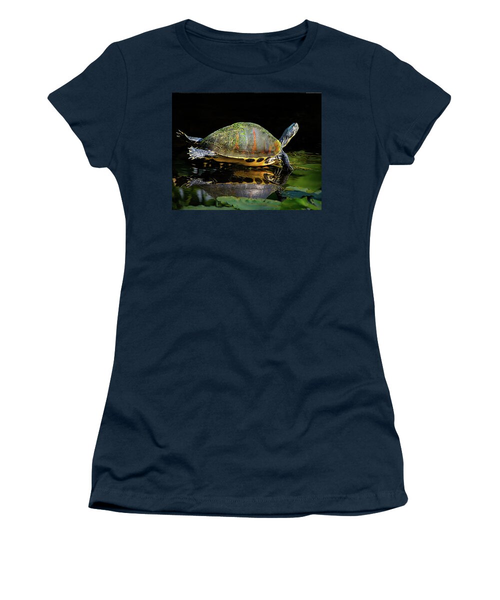 Lounging Turtle Women's T-Shirt featuring the photograph Lounging Turtle by Don Durfee