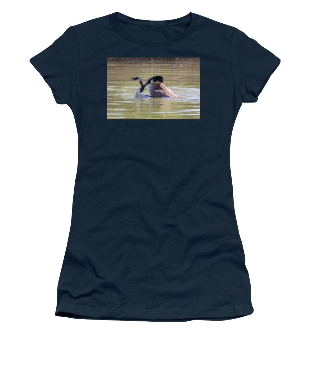 Canada Geese Women's T-Shirt featuring the photograph Love Bites - Canada Geese Mating Behavior by Susan Rissi Tregoning