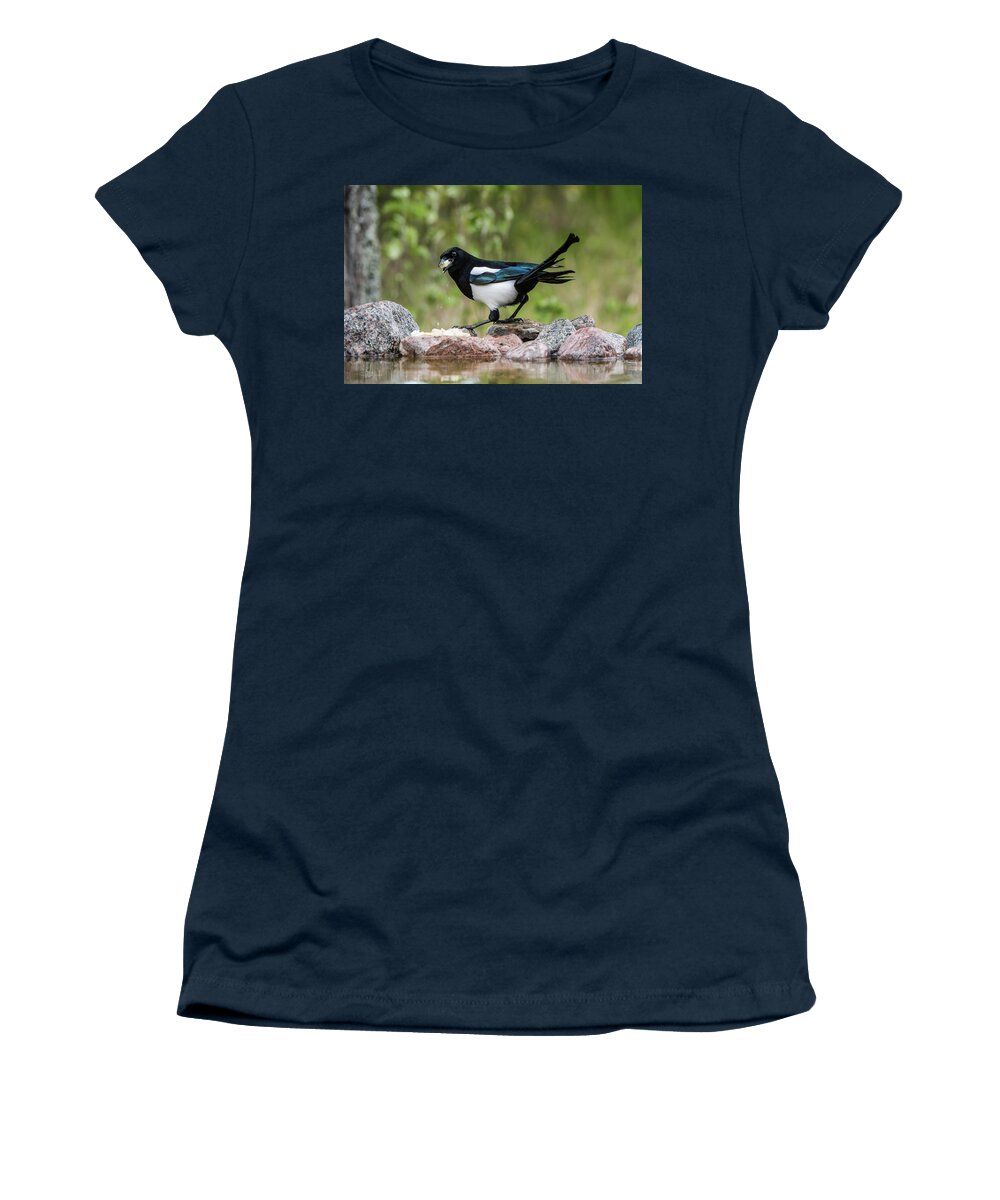 Magpie's Twisted Tail Women's T-Shirt featuring the photograph Magpie in profile eating cheese on the rocks at the pond by Torbjorn Swenelius