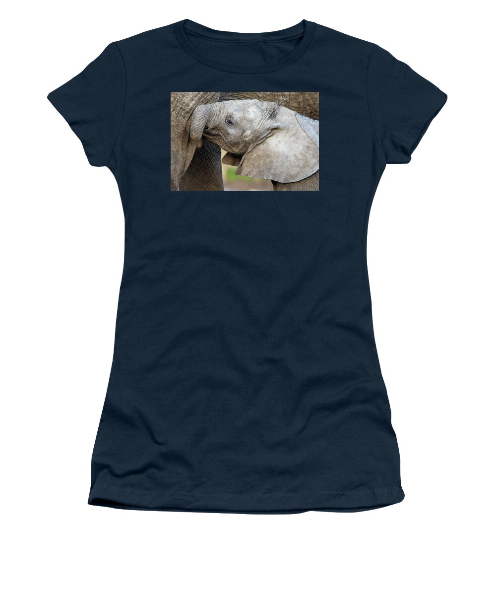 Elephant Calf Women's T-Shirt featuring the photograph Male African Elephant calf Nusu by Gareth Parkes