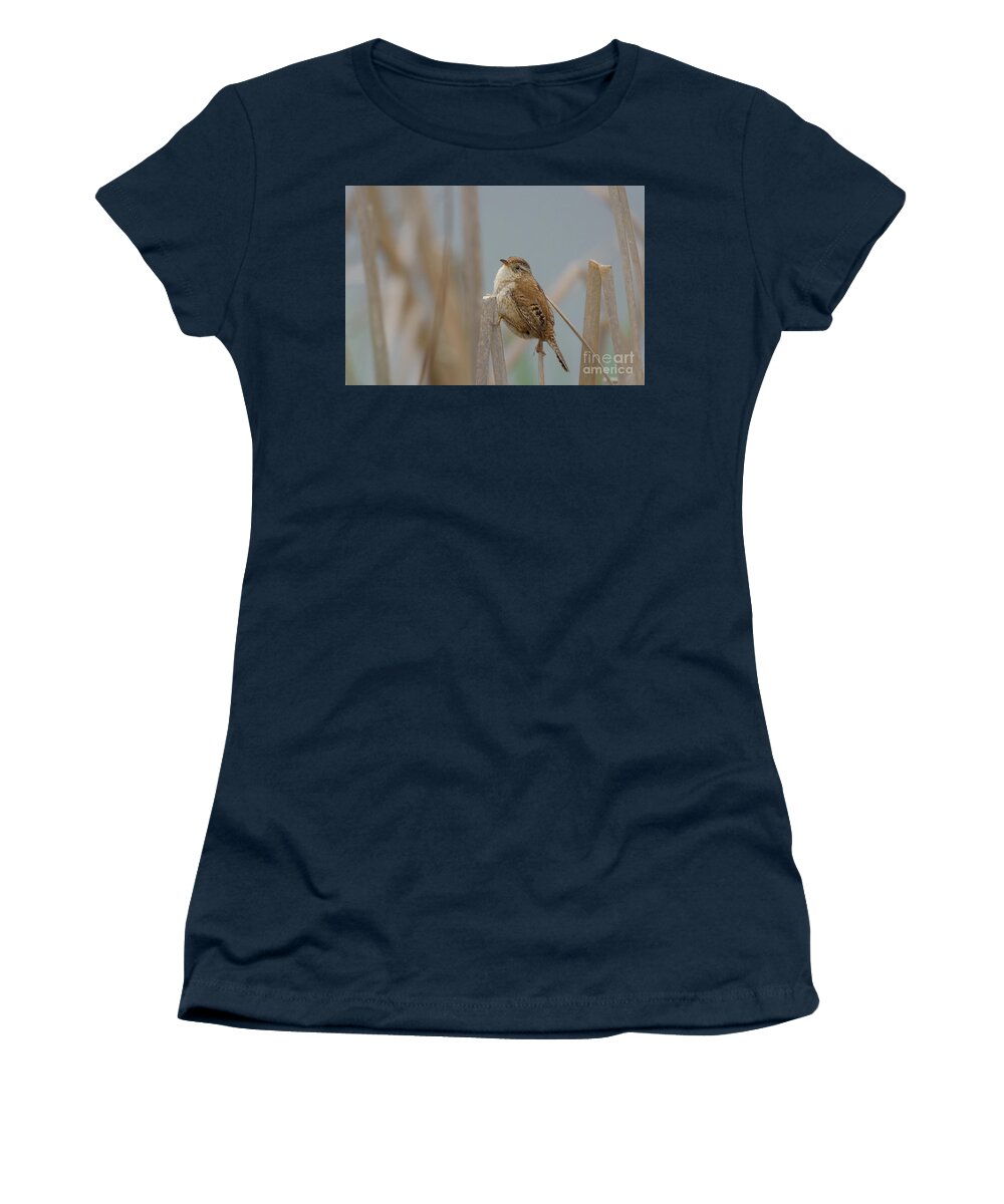 Cattail Women's T-Shirt featuring the photograph Marsh Wren Checks Over Its Shoulder between Songs by Nancy Gleason