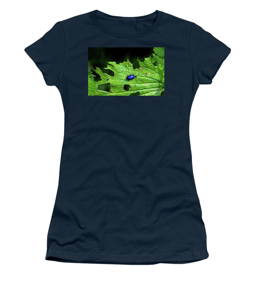 Agriculture Women's T-Shirt featuring the photograph Metallic Blue Leaf Beetle On Green Leaf With Holes by Andreas Berthold
