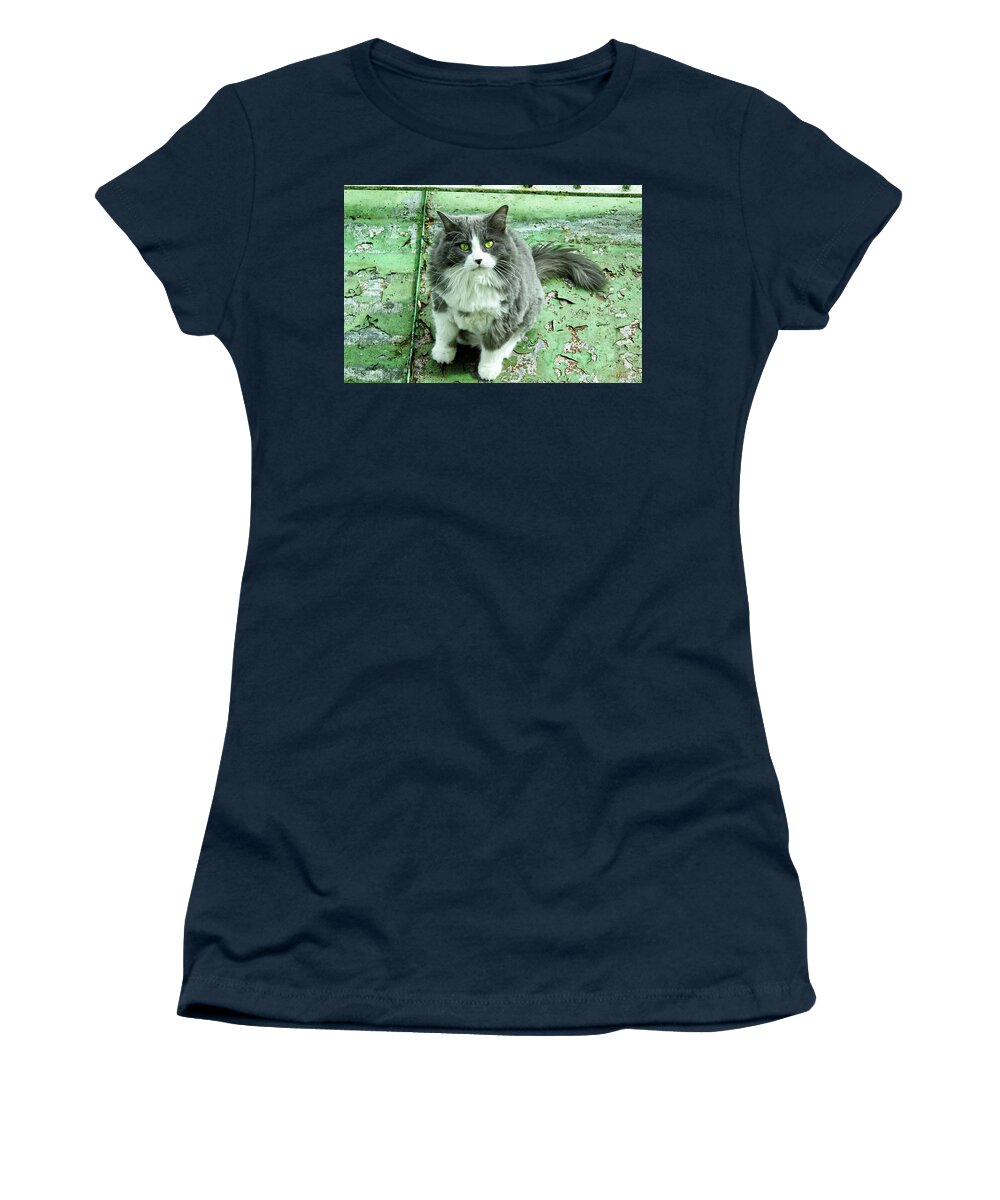 Cat Women's T-Shirt featuring the photograph Minou on the roof by Elaine Berger