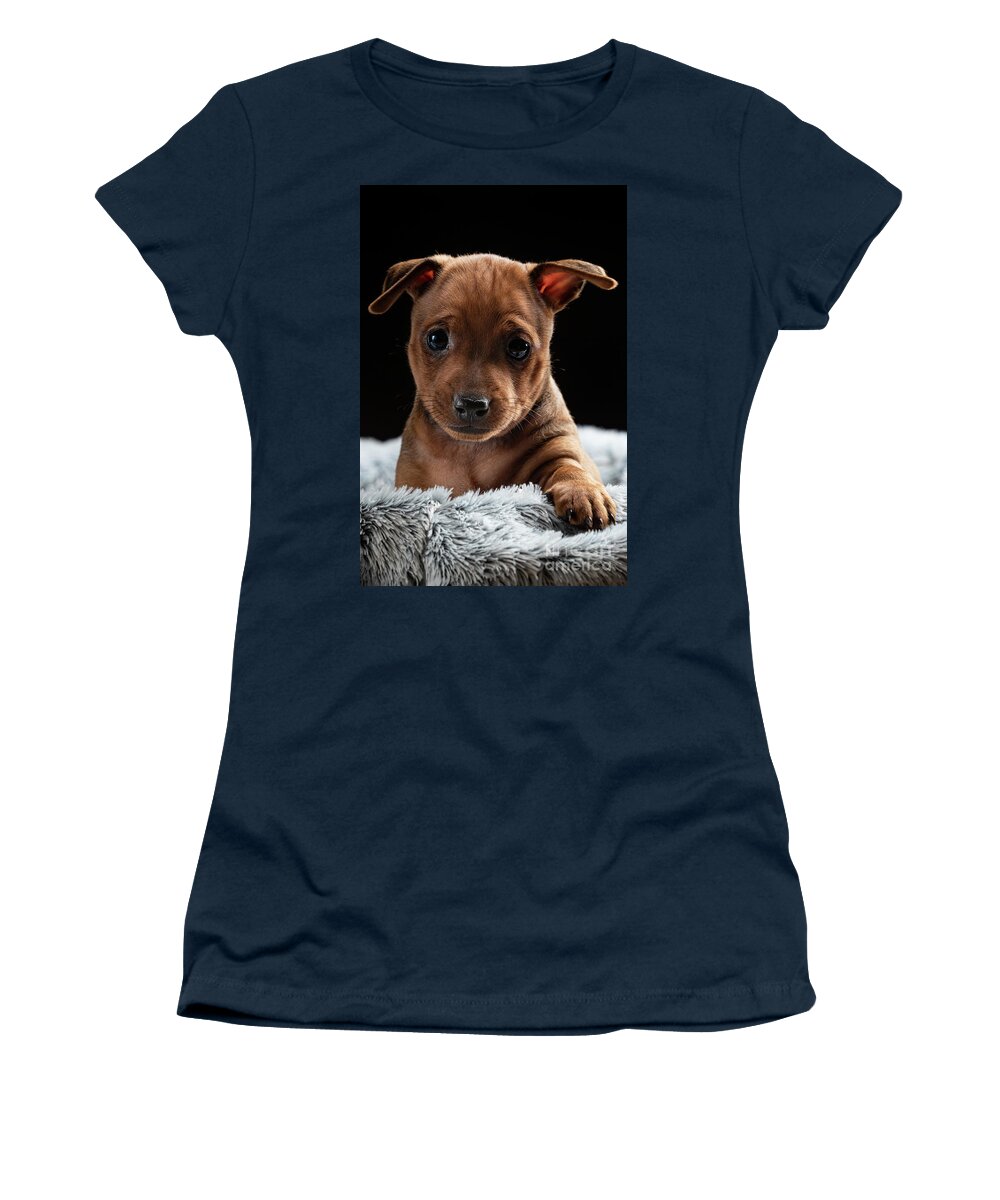 Demestik Women's T-Shirt featuring the photograph Minpin Puppy by Gunnar Orn Arnason