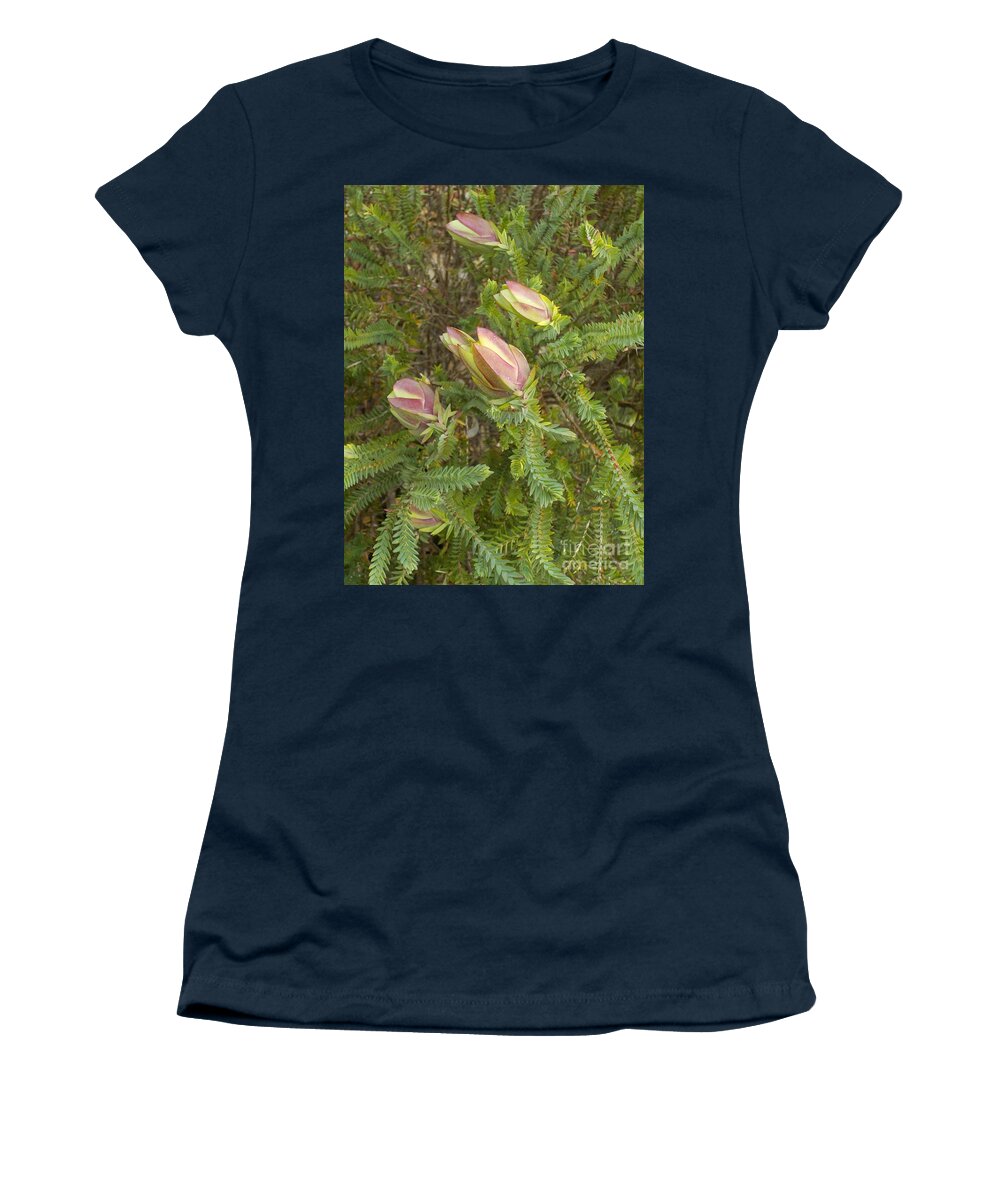 Mogumber Bell Women's T-Shirt featuring the photograph Mogumber Bell - Darwinia carnea by Lesley Evered