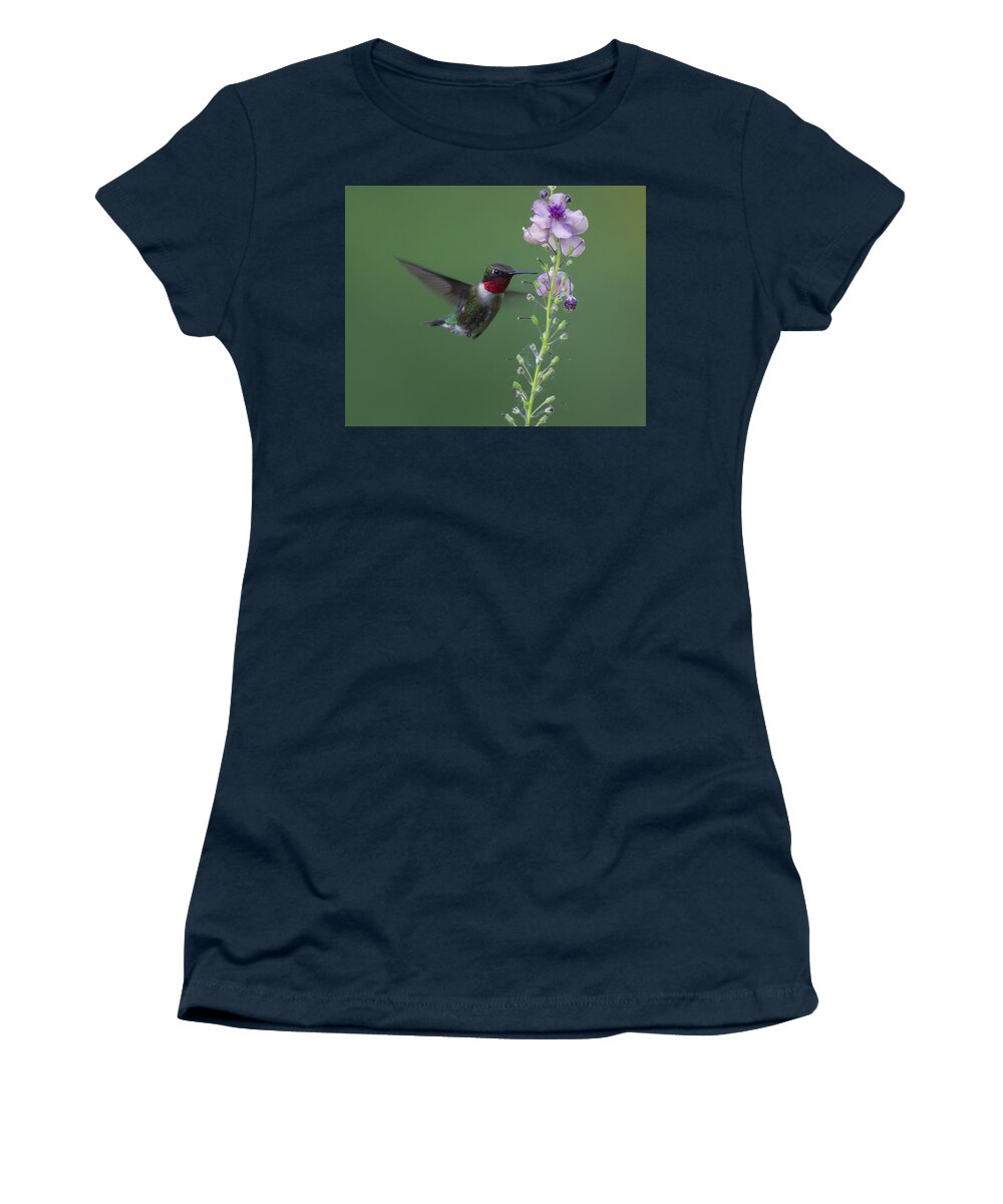 Hummingbird Women's T-Shirt featuring the photograph Morning Breakfast by Timothy McIntyre