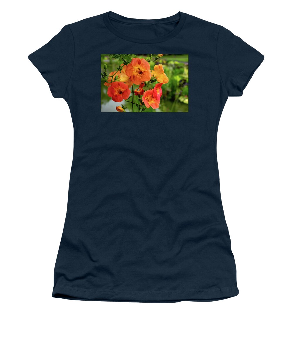 Campsis Grandiflora 'morning Calm' Women's T-Shirt featuring the photograph Morning Calm by Kevin Suttlehan