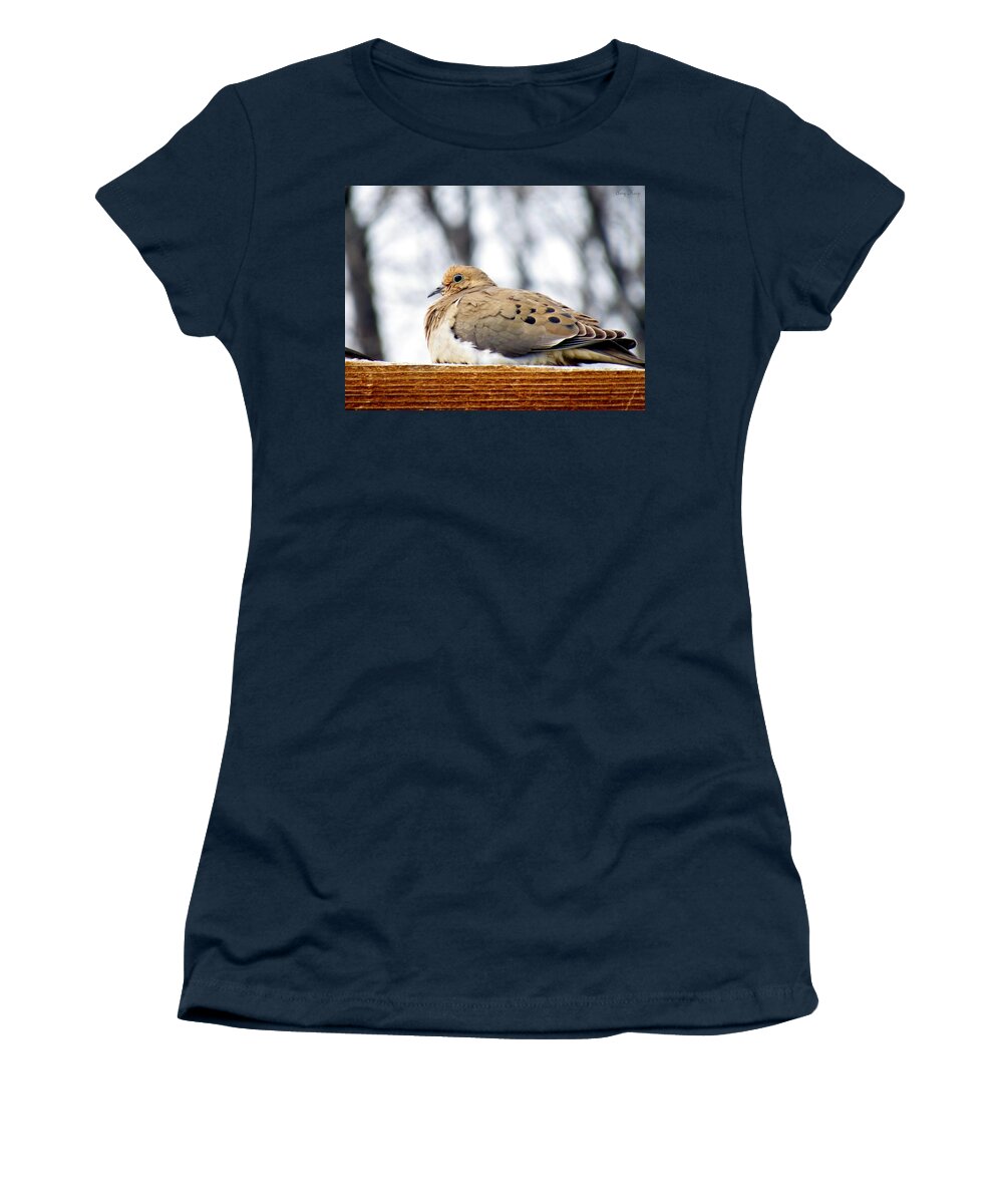 Mourning Dove Women's T-Shirt featuring the photograph Mourning Dove Perched by Amy Hosp