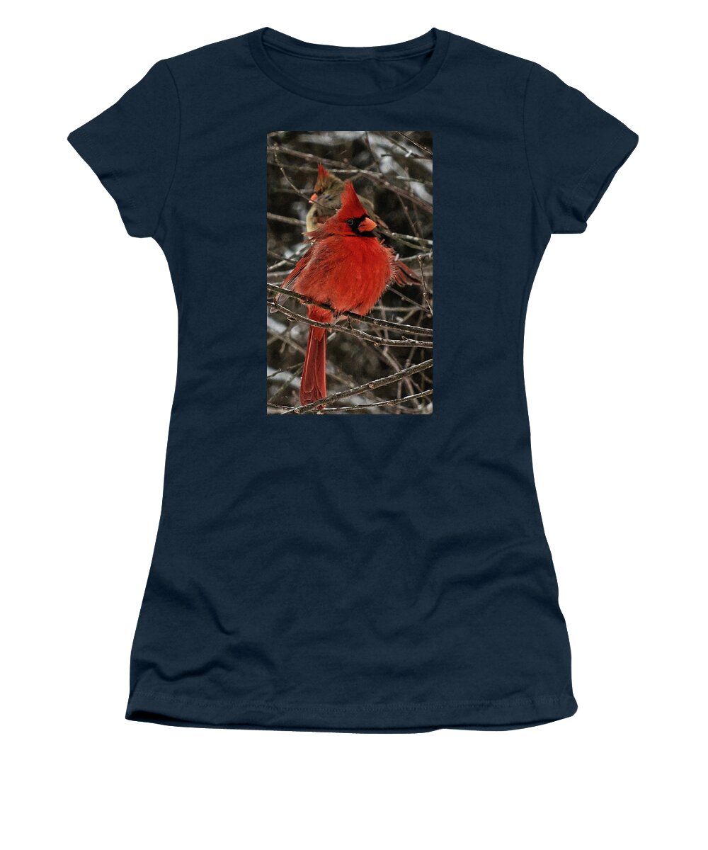 Northern Cardinal Women's T-Shirt featuring the photograph Mr. and Mrs. by John Harding