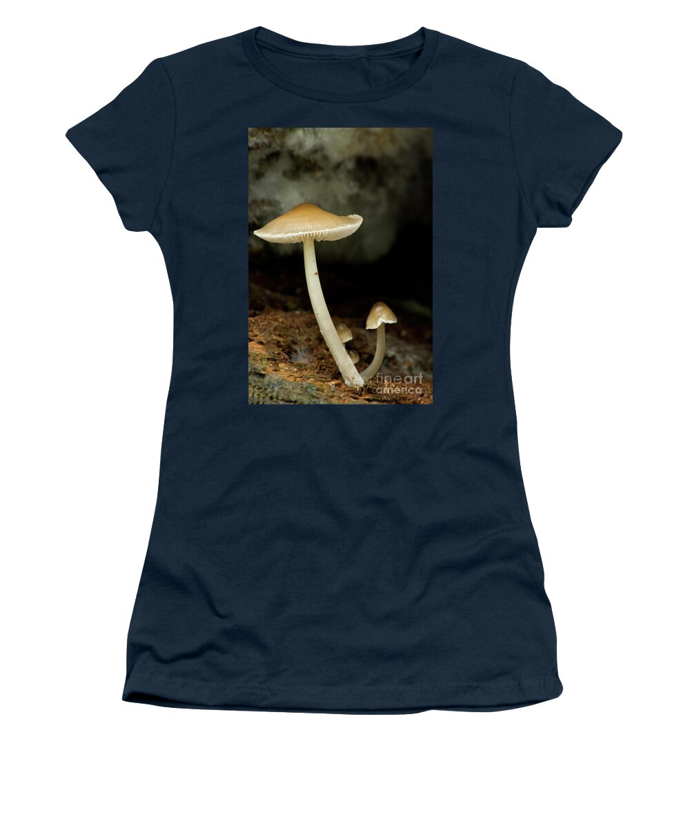 Mushrooms Women's T-Shirt featuring the photograph Mushrooms by Rich S