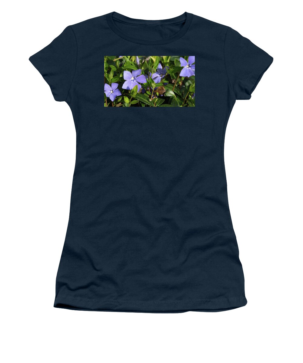 Ground Cover Women's T-Shirt featuring the photograph Myrtle by Jeffrey Peterson