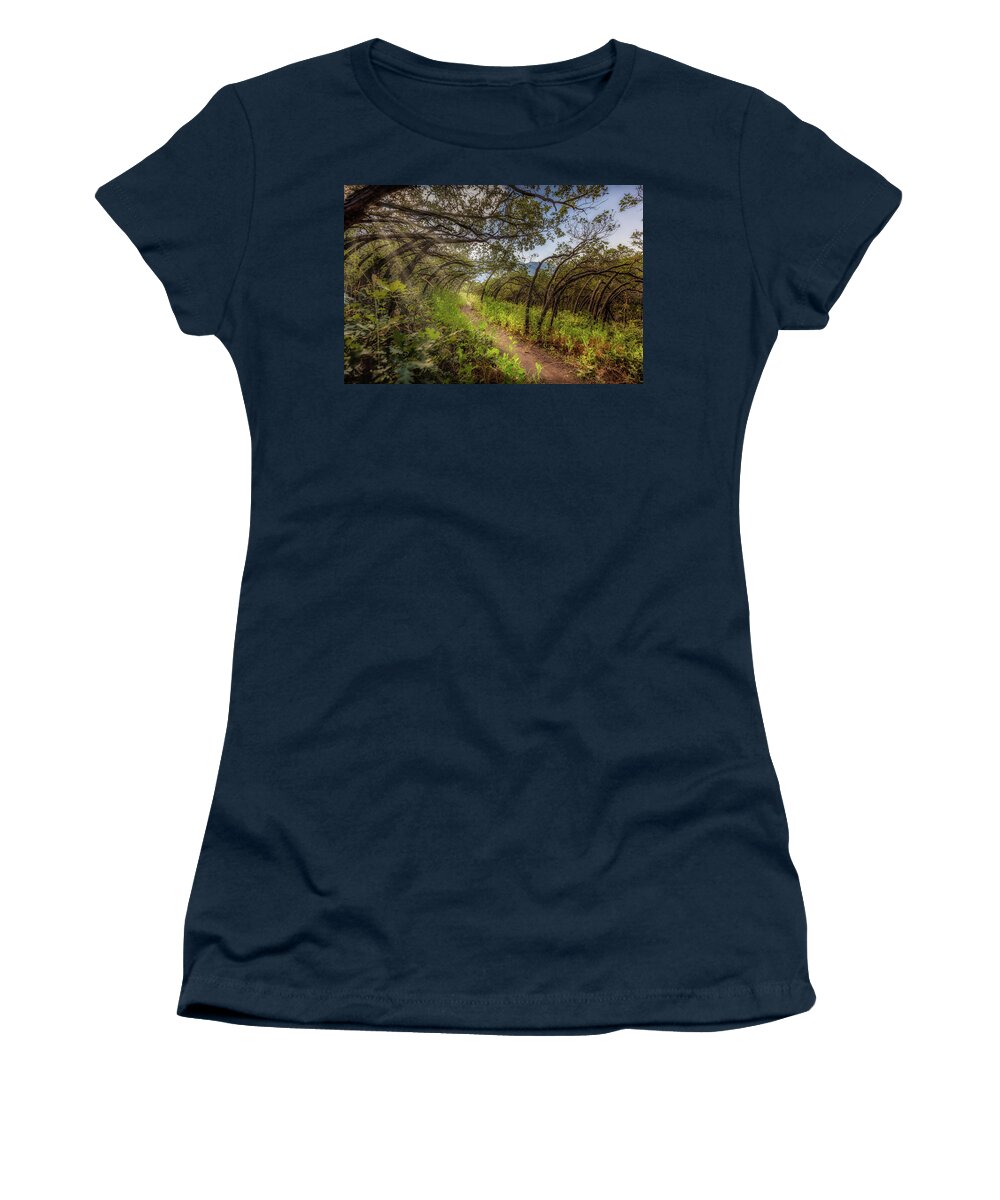 Woods Women's T-Shirt featuring the photograph Mystical Worshipping Woods by Bradley Morris