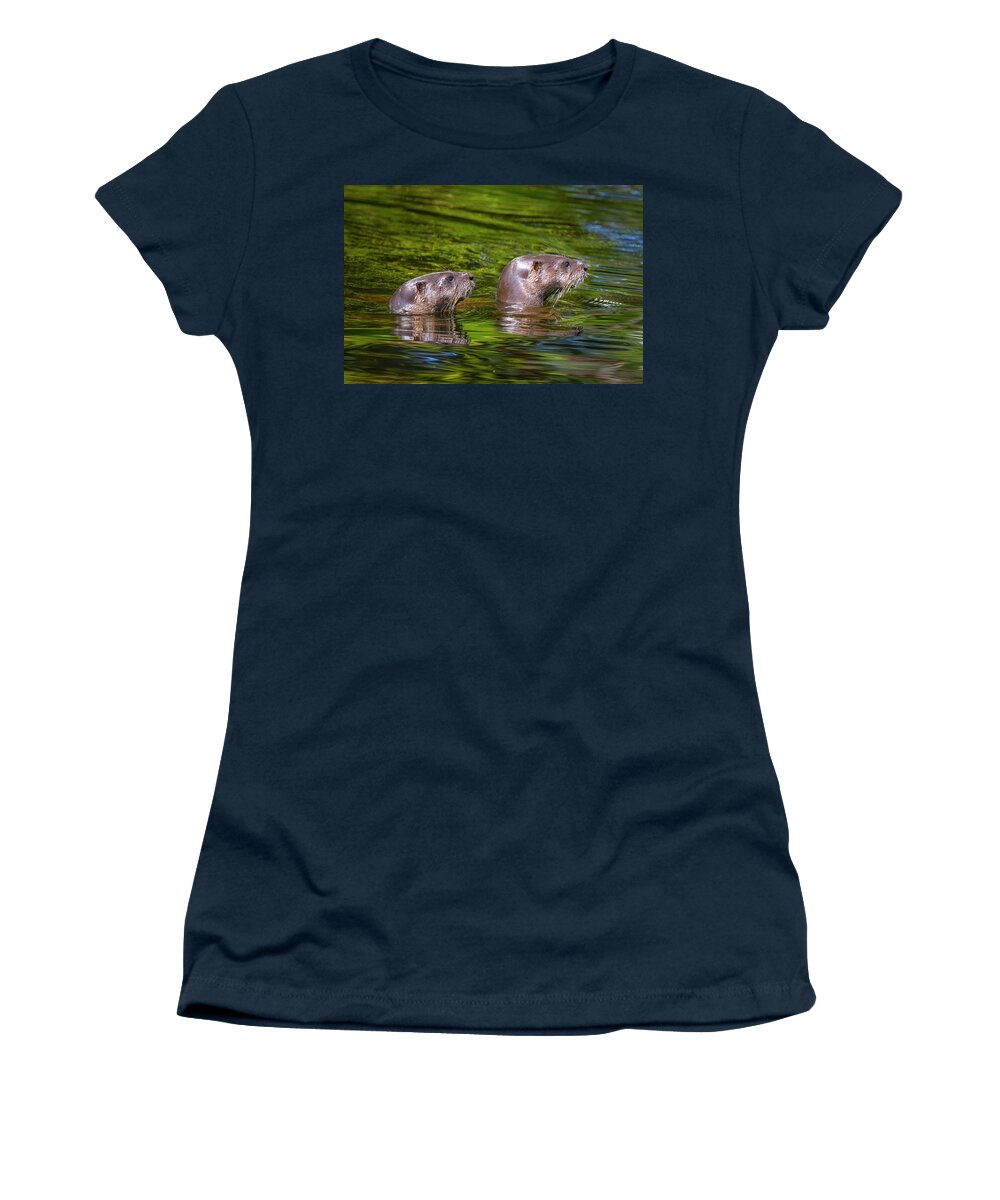 Otter Women's T-Shirt featuring the photograph North American River Otters by Mark Andrew Thomas