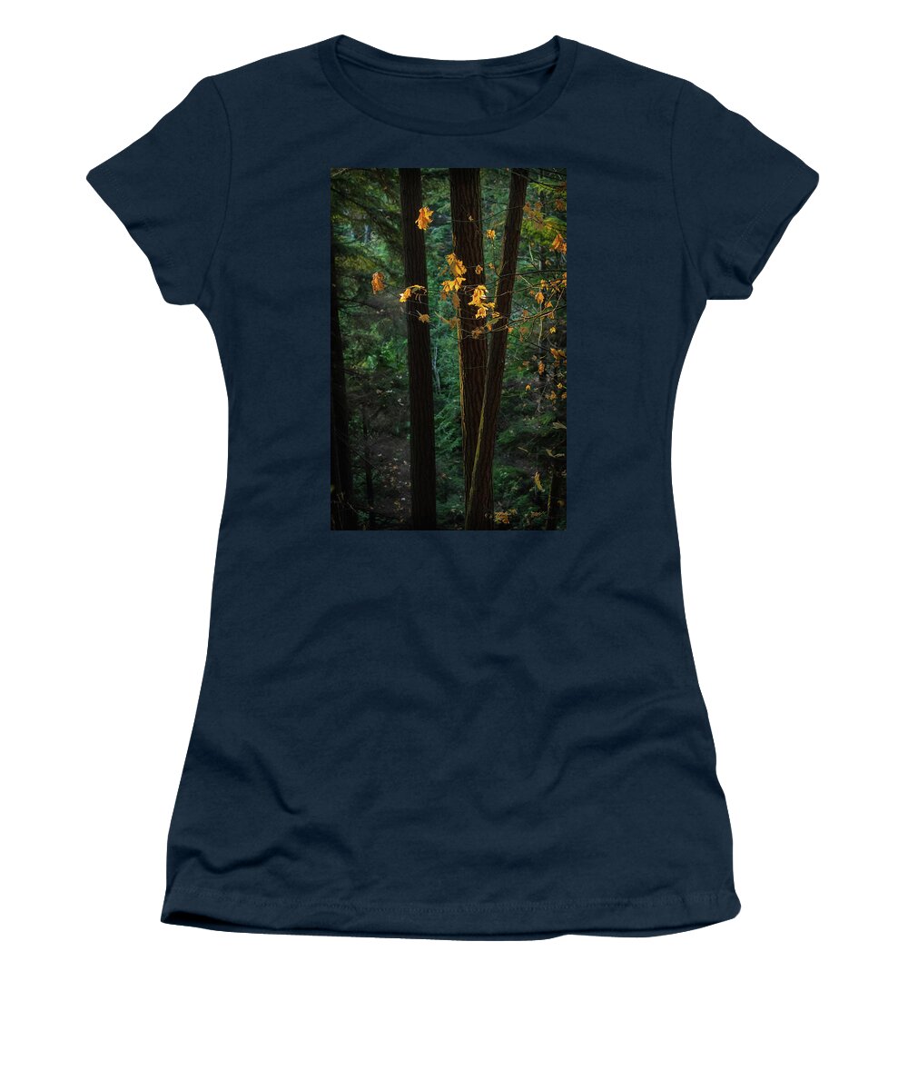 Fall Women's T-Shirt featuring the photograph November Woods by Lynn Wohlers