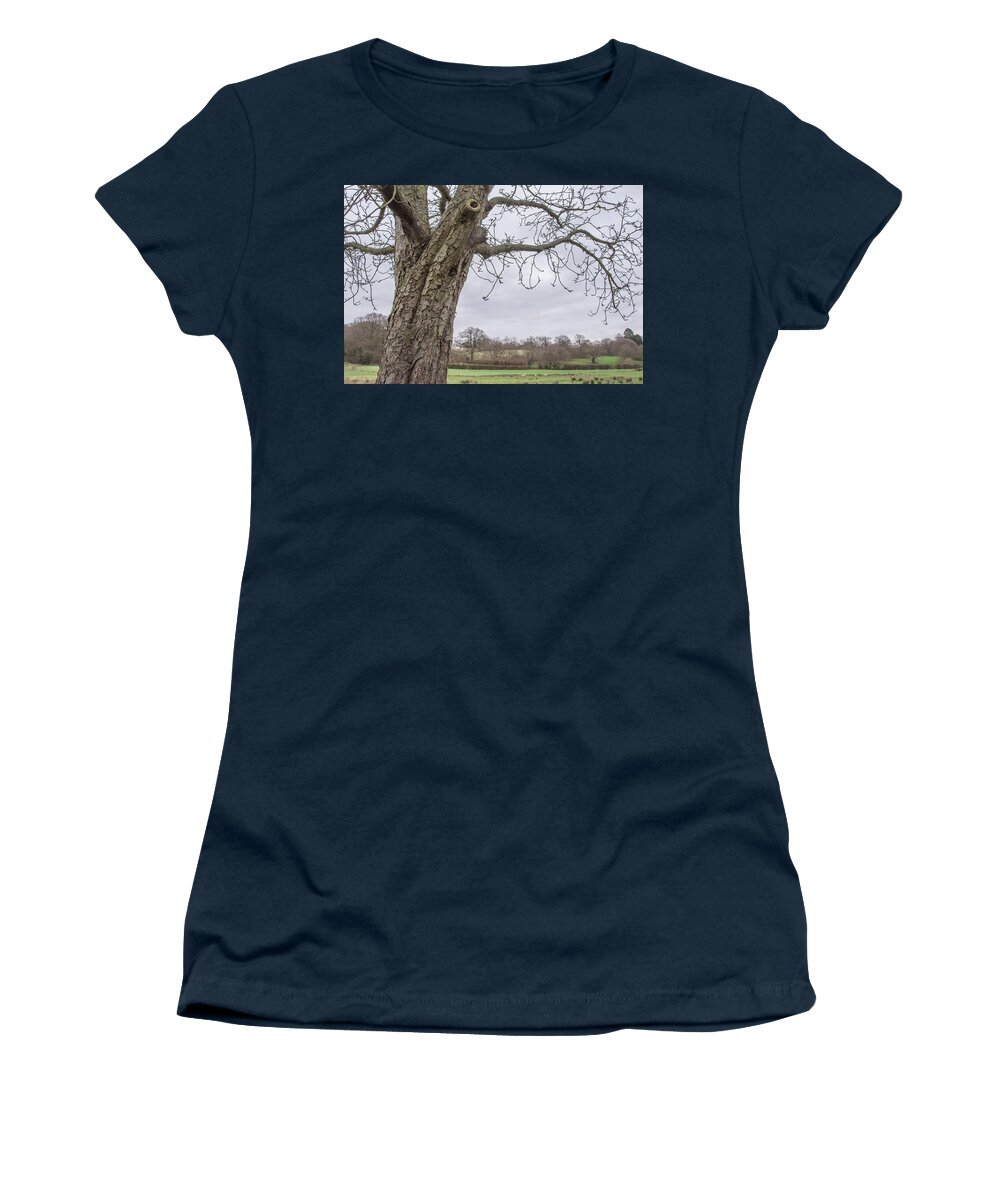 Oak Hill Park Women's T-Shirt featuring the photograph Oak Hill Park Trees Winter by Edmund Peston