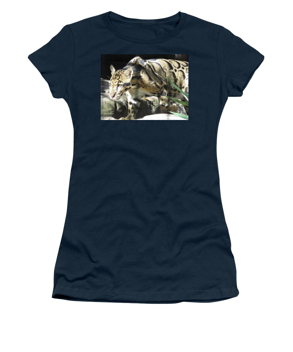 Clouded Leopard Women's T-Shirt featuring the photograph On the Hunt - Clouded Leopard by World Reflections By Sharon