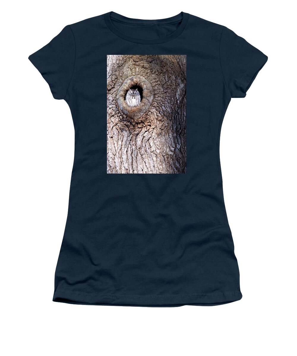 Owl Women's T-Shirt featuring the photograph Owl Roosting by Flinn Hackett