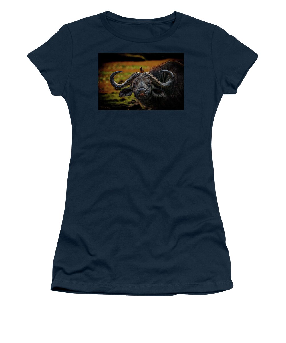 Cape Buffalo Women's T-Shirt featuring the photograph Ox Pecker by Darcy Dietrich