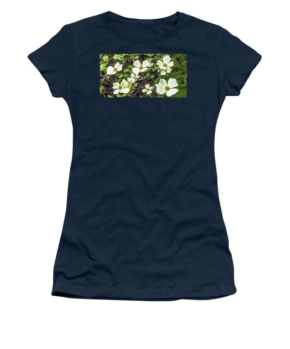 Flowers Women's T-Shirt featuring the photograph Pacific Dogwoods by Claude Dalley