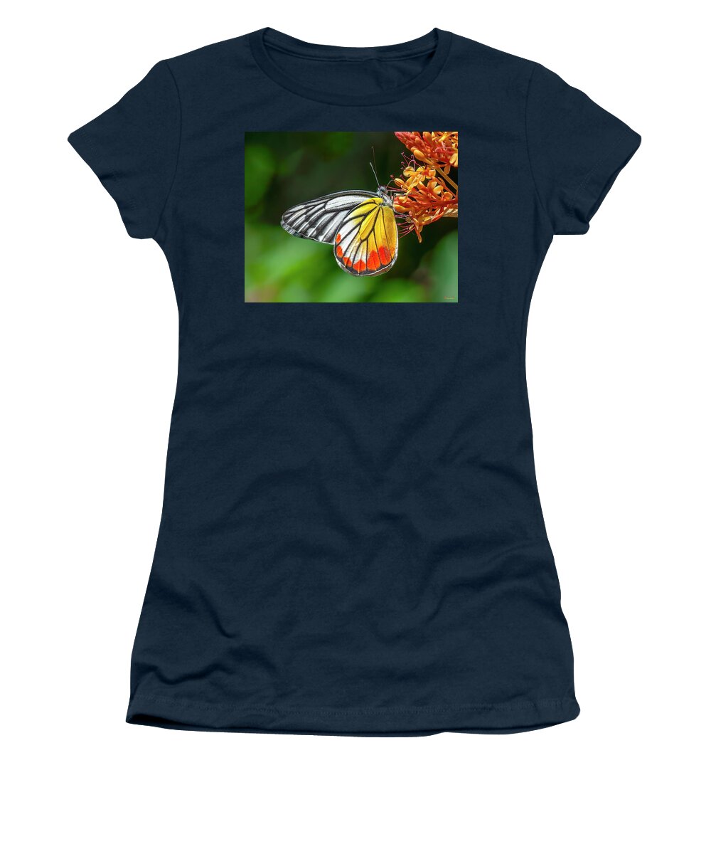 Nature Women's T-Shirt featuring the photograph Painted Jezebel Butterfly DTHN0303 by Gerry Gantt