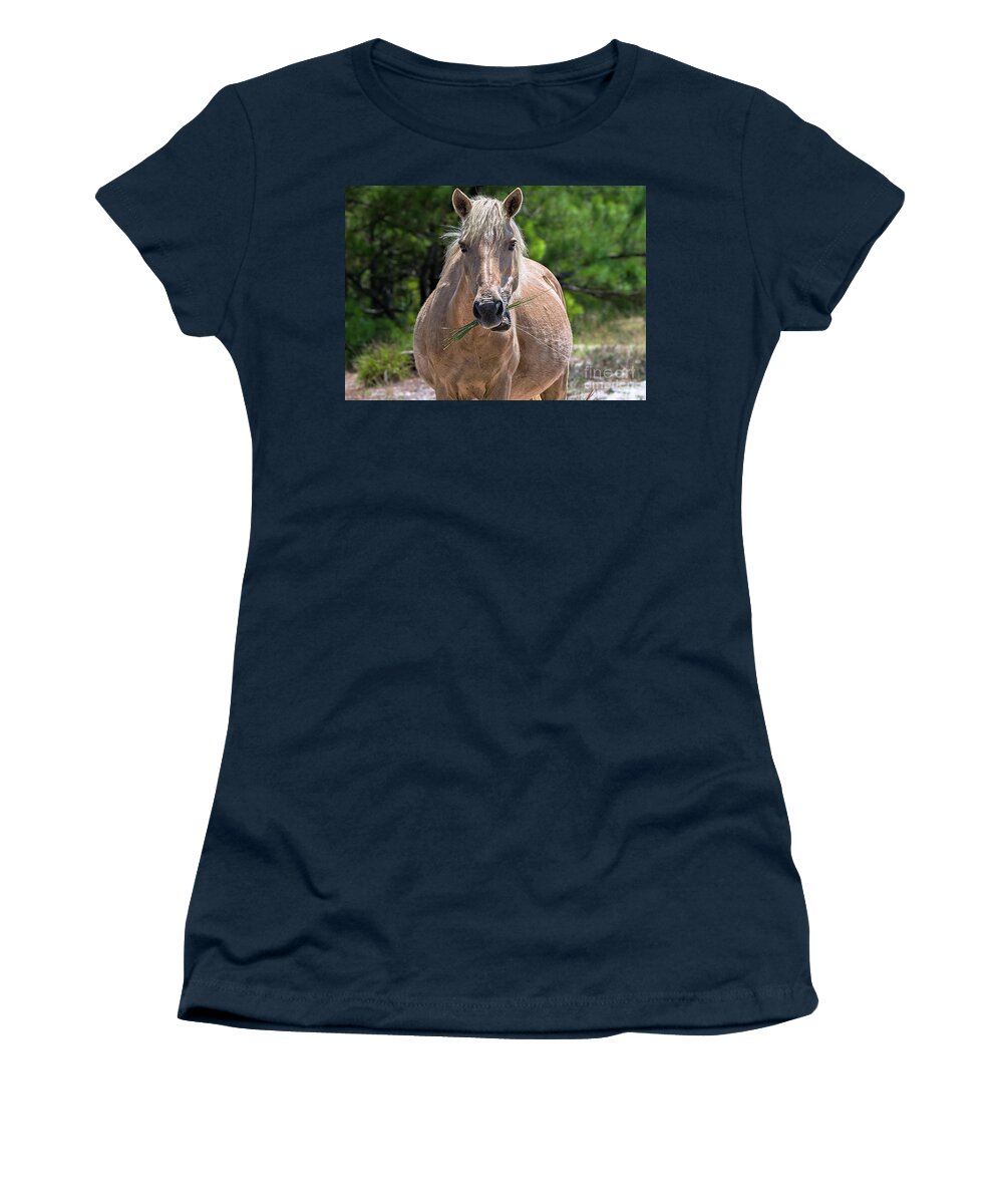 Horse Women's T-Shirt featuring the photograph Palomino horse by Rehna George